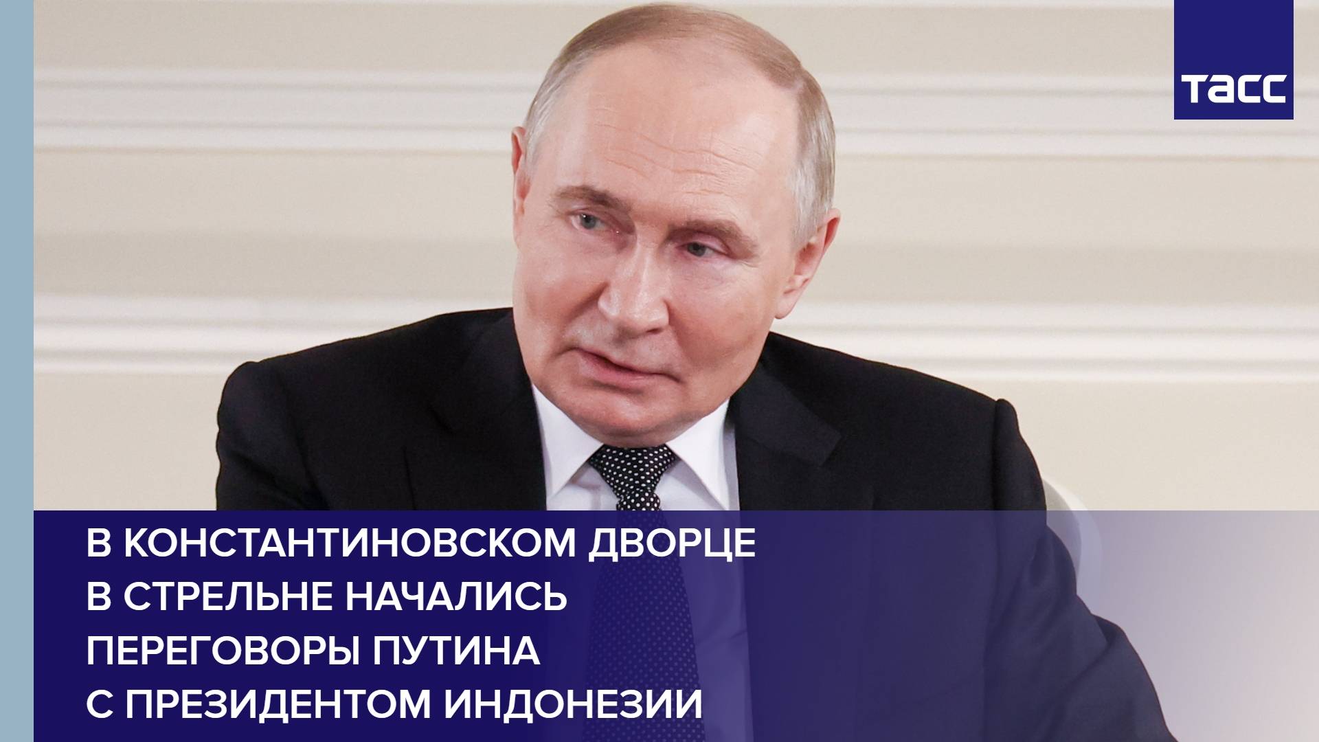 В Константиновском дворце в Стрельне начались переговоры Путина с президентом Индонезии