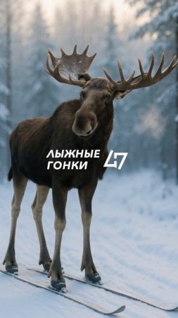 Как мы собираемся развивать лыжные гонки?
