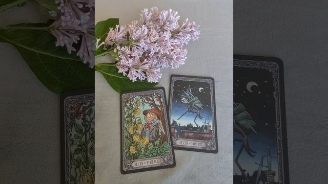 Овны ♈, ваша неделя с 23 по 29 июня.