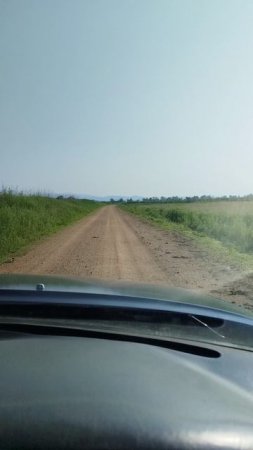 Крошка енот