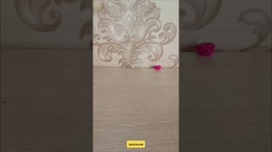 покажу как возродить испорченный сквиш!🙃