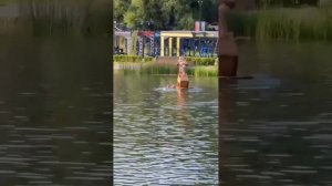 В Москве дети использовали домик для уток совсем не по назначению
