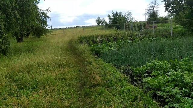 Новополянье!!! Первый день отпуска! Куры разочаровали!!!
