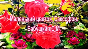 Маленький цветок.  Саксофон. Бабушкин С.М.
