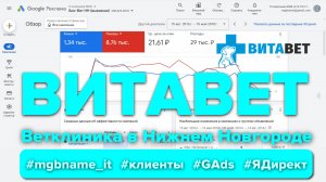 Контекстная реклама для ветеринарной клиники Витавет  (Нижний Новгород, Vitavet-nn.ru) #ads #direct