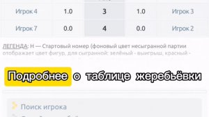 Профиль турнира. Таблица жеребьевки.
