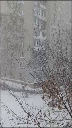 06 марта 2023 года в Подольске