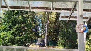 video_2025-06-19_13-26-10