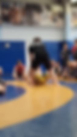 СПОРТИВНО-ОЗДОРОВИТЕЛЬНЫЕ СБОРЫ ОТДЕЛЕНИЯ СПОРТИВНОЙ БОРЬБЫ