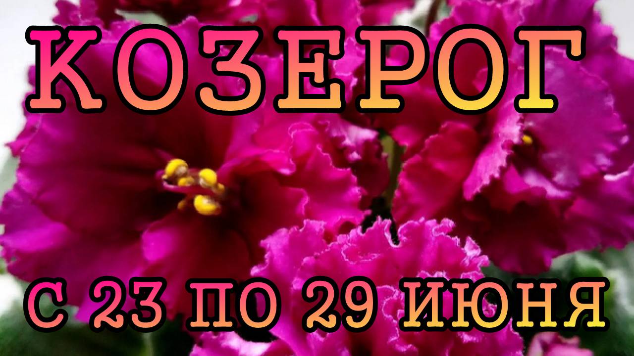КОЗЕРОГ таро прогноз на неделю с 23 по 29 ИЮНЯ 2025 года.