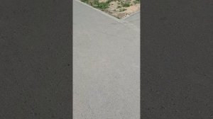 помните-то видео, да уж гуляю?это полное видео. того кусочка.
