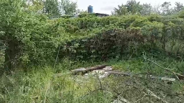 СНТ Горняк Машмет