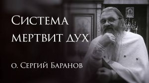14.06.2025. Система мертвит дух #протоиерейСергийБаранов