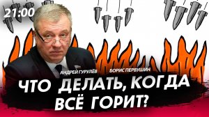 Что делать, когда всё горит? [Андрей Гурулёв. СТРИМ]