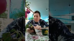 ДОБРЕЙШЕГО ☕😘❗ УТРЕННЯЯ ПЛАНЁРКА 😍