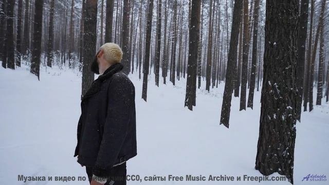 Музыка для постбиологического существования - новая эра сознания! - Symphony No. 1 IV. Hope -- Steve