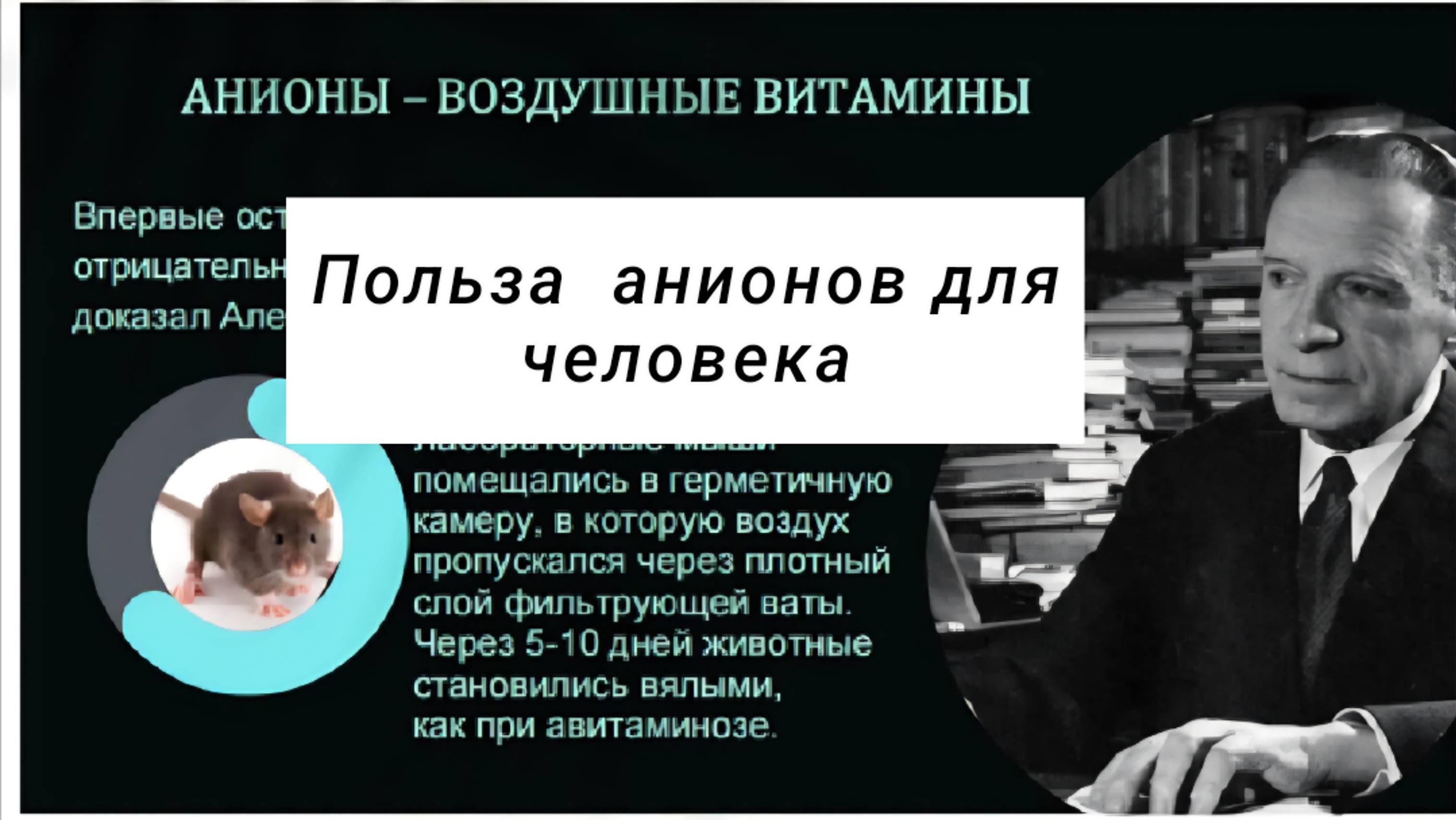 ☘️ Whieda_063 ☘️
 Концентрация  анионов 
в организме-ключевая
 проблема здоровья.