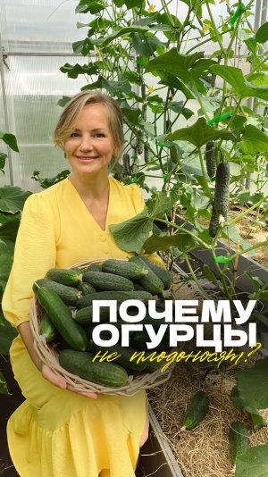 🥒 Как правильно формировать огурцы в июне?