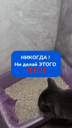 НИКОГДА ! Ни делай ЭТОГО ‼️‼️‼️