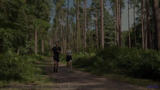 Пейзажи открываются, когда музыка входит в кровь - Away -- Satellite State -- Collective