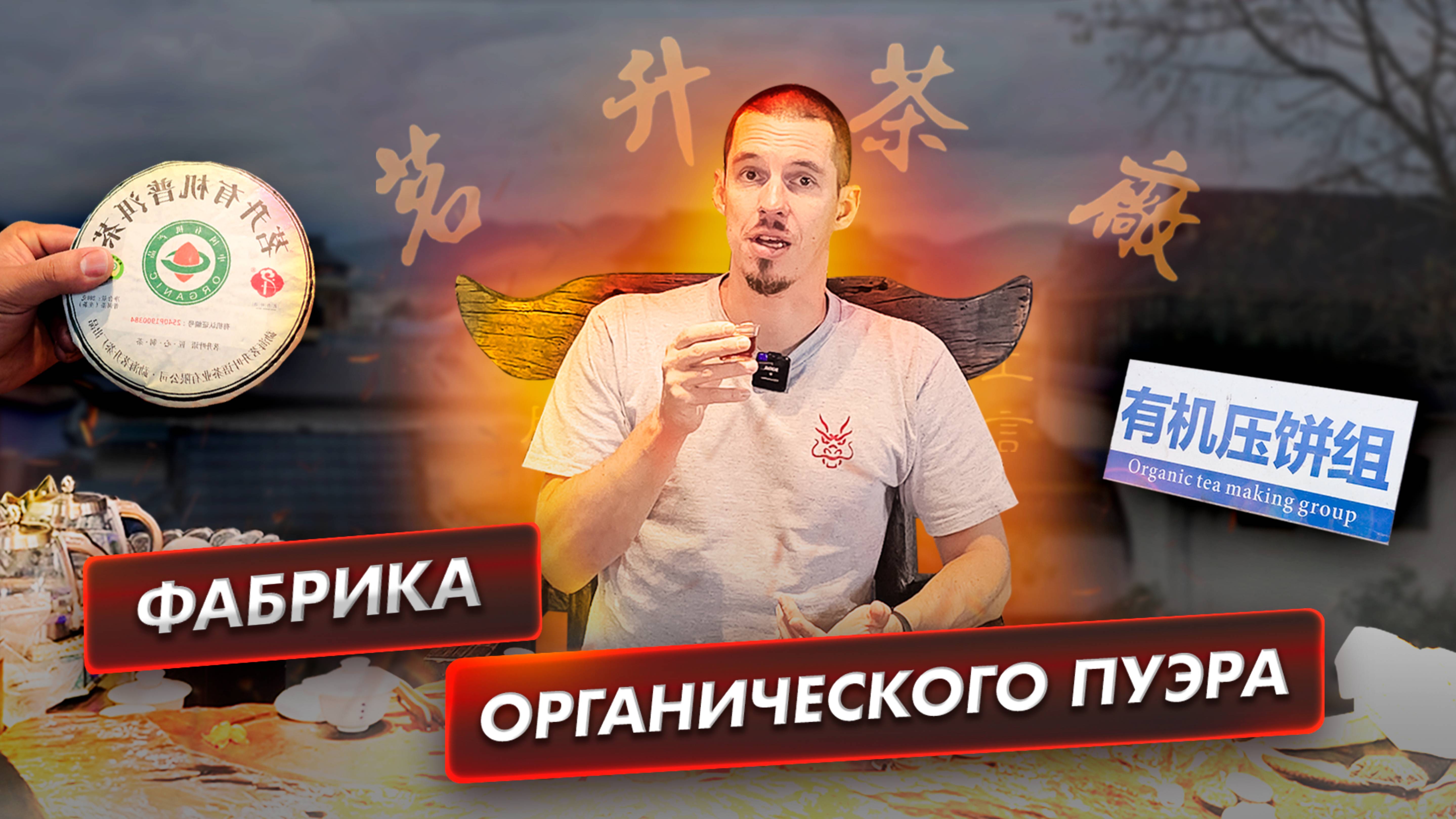 Как делают органический пуэр в Китае? От прессовки до фасовки