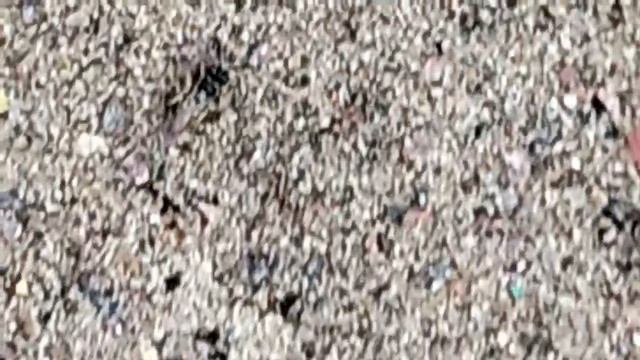 1000005487.mp4