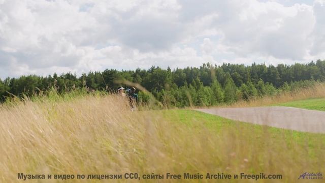 Музыка звучит так, будто сама планета говорит - There is no threat -- Roboy -- Le Petit chat doit mo
