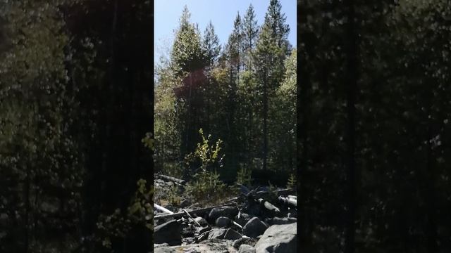 Дикий остров на Севере