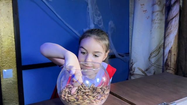 🎉 День Рождения Аглаи в стиле "Форт Боярд"! 🎉