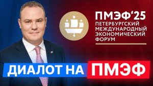 Егор Диашов, Генеральный директор ИК "Диалот" на Петербургском Международном Экономическом Форуме