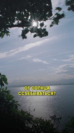 ПОСЛЕ ЭТОГО ТЫ НЕ БУДЕШЬ ЭТО ПИТЬ