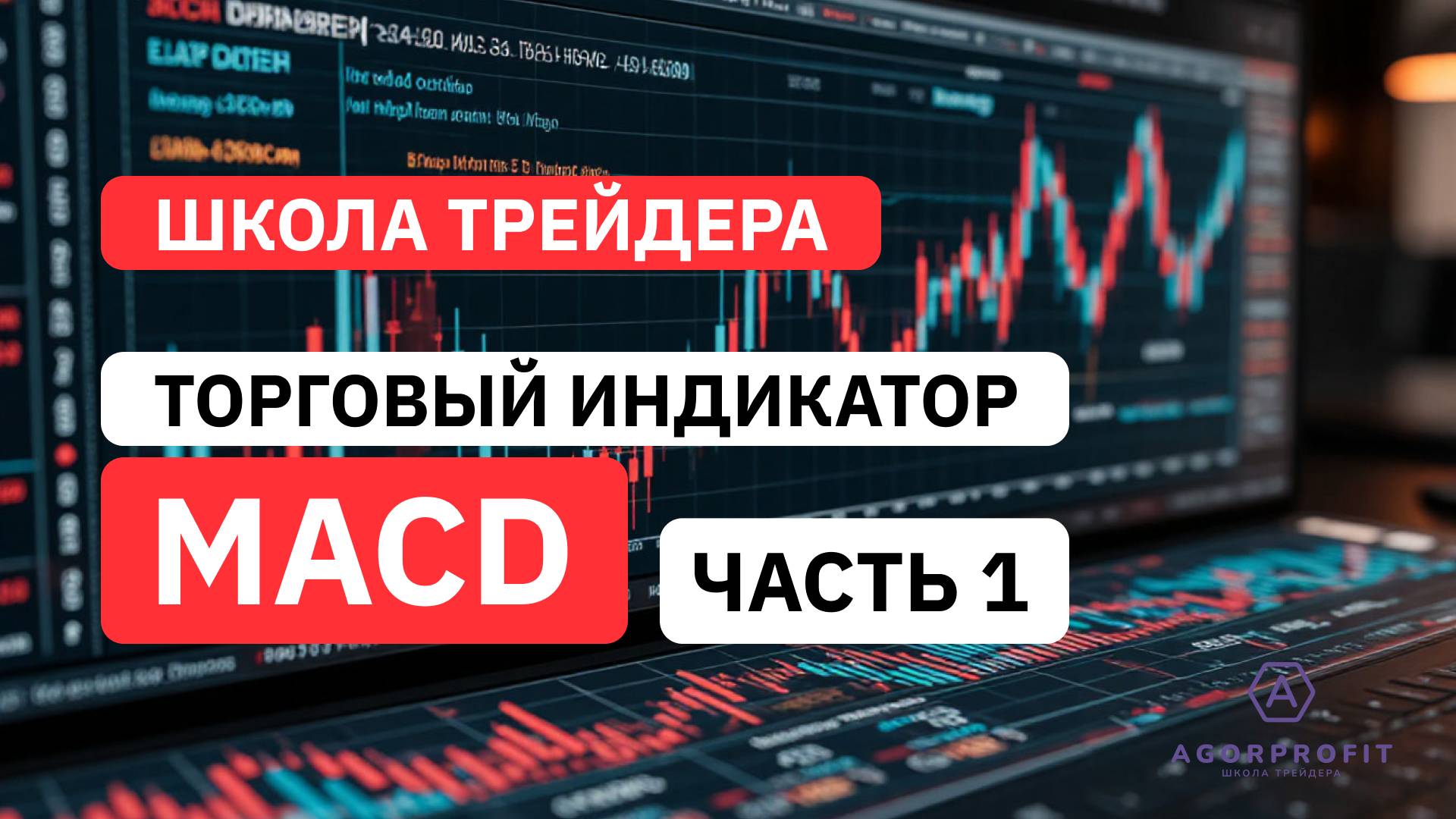 Школа трейдинга. Урок №1: Индикатор MACD — основы установки и настройки.