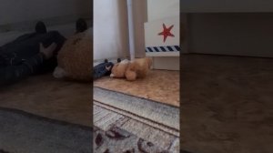 милый котик 38 серия  ( 1 часть)