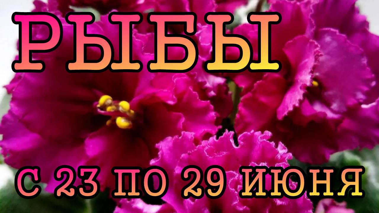 РЫБЫ таро прогноз на неделю с 23 по 29 ИЮНЯ 2025 года.