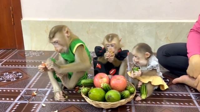 Обезьянки 4 малышки катят маме корзину овощи фрукты Радуются крутятся Едят кто быстрее