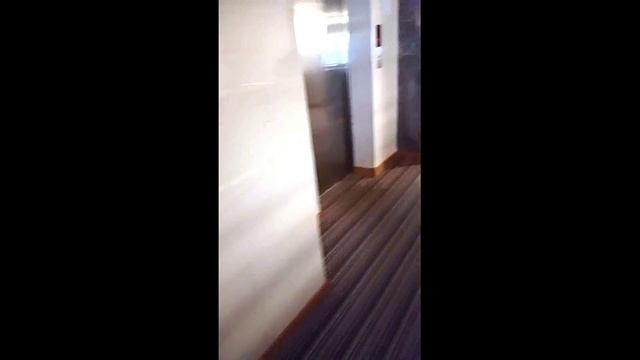 Обзор гостиницы Грейс Калипсо. Эсто Садок. Красная поляна