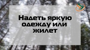 БГВЕСТНИК_Слет ЛизаАлерт в Богородском округе.mp4
