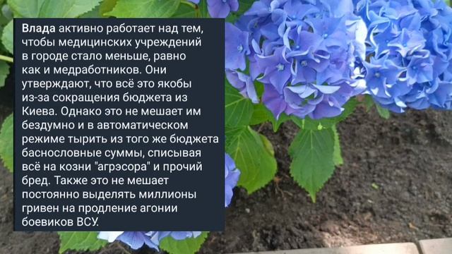 Николаев 19 июня 2025 года (новости)