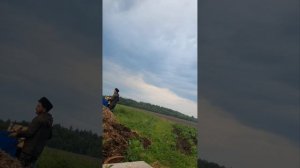 Как подготовить орловцев к первой выездке,приучить к оглоблям