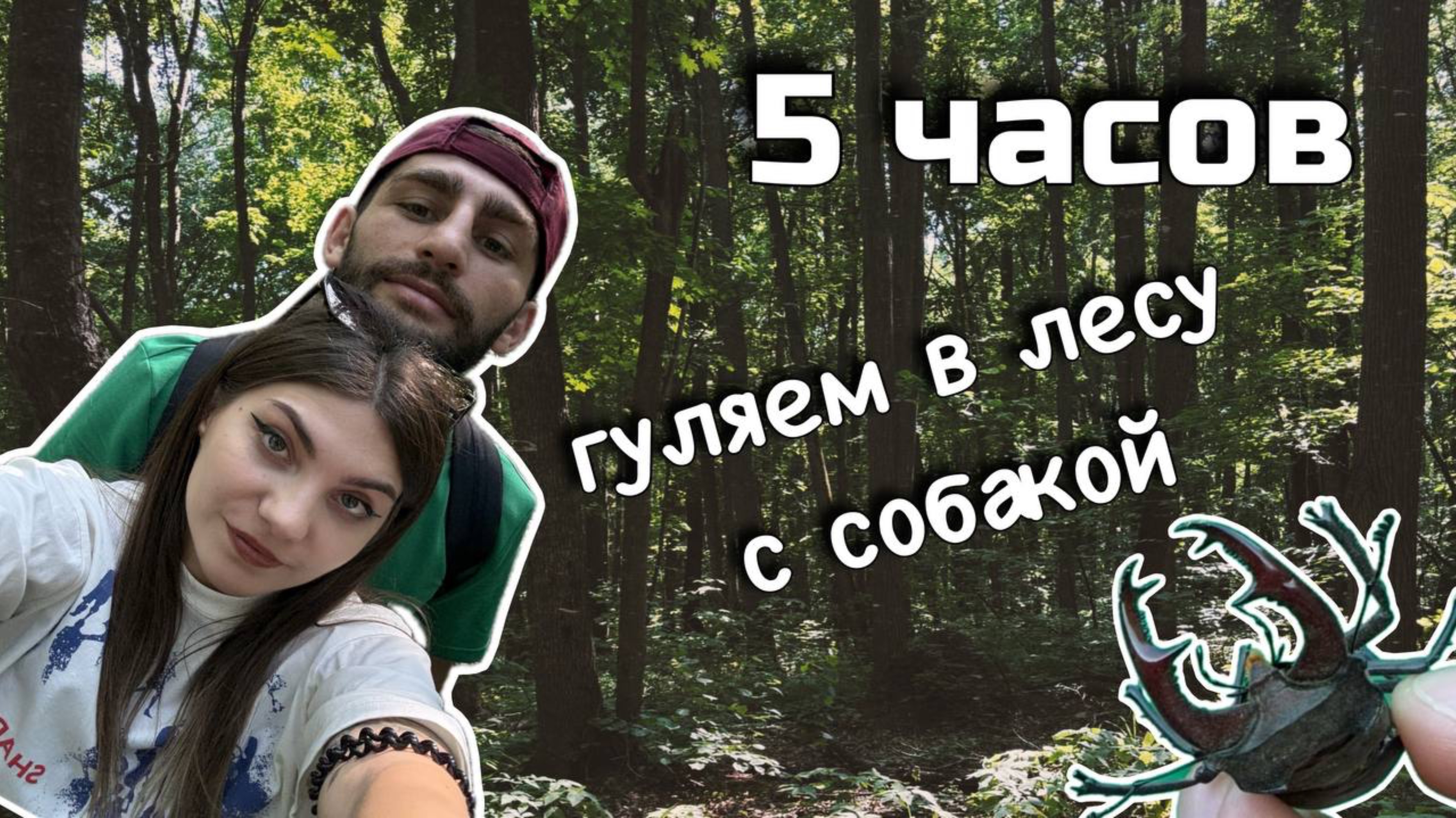 Вид на Волгу, лесные тропы и... трасса домой! 🌺