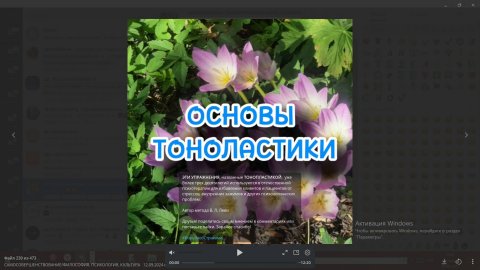 Основы тонопластики