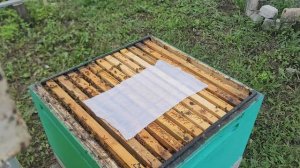 ф.53.  раскладываю салфетки от клеща.