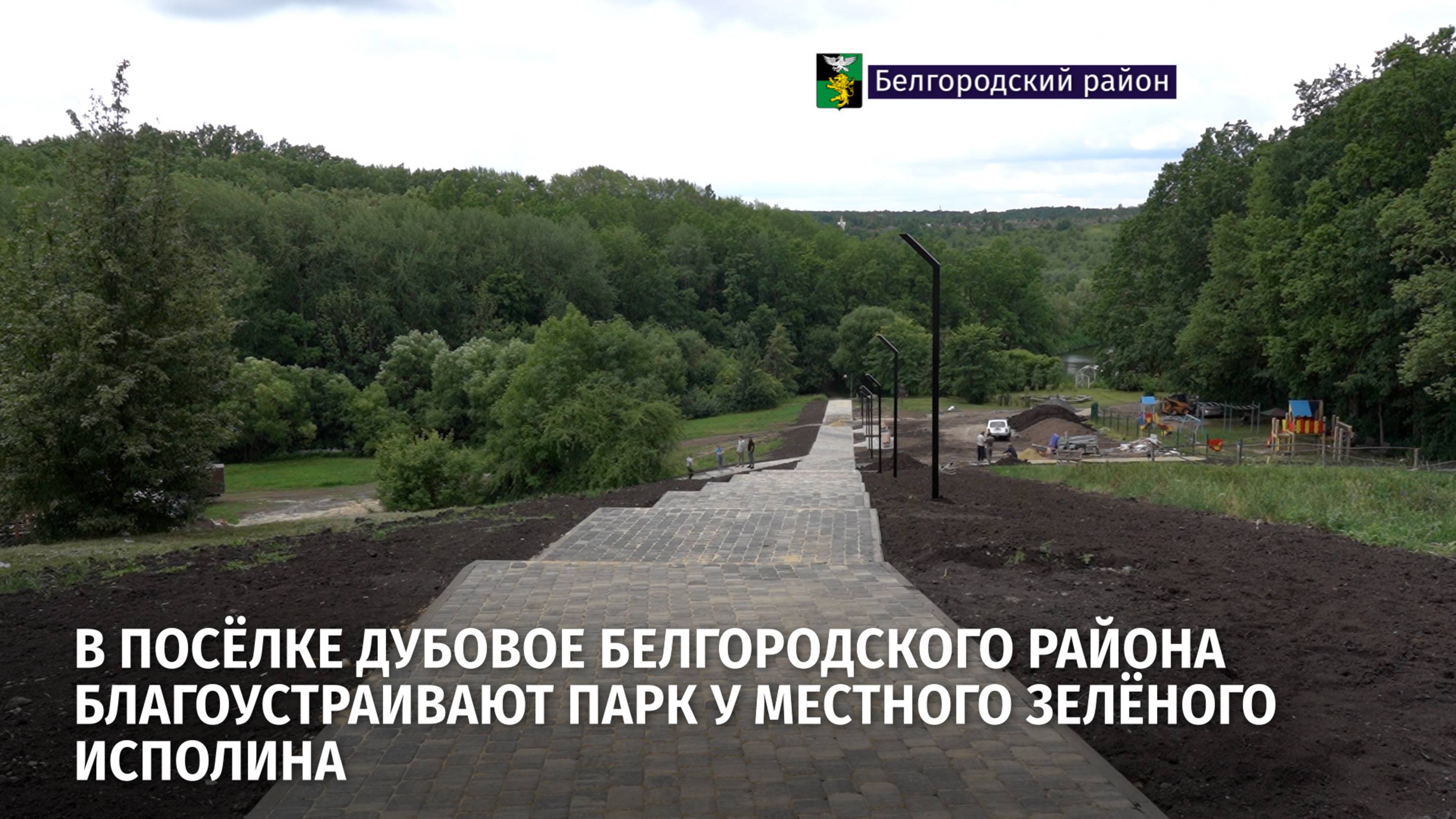 В посёлке Дубовое Белгородского района благоустраивают парк у местного зелёного исполина
