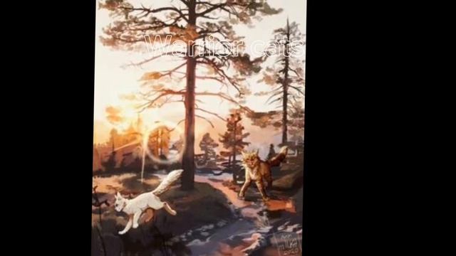 Давно не было про Warrior cats  видео ^^
Кстати я купила Астро! 98% на Пебле следующая цель ﹥:3