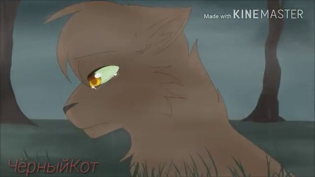 коты воители смотреть онлайн