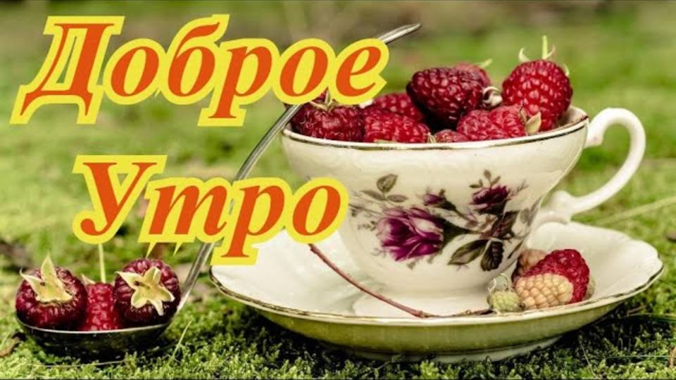Доброе Утро! Яркого, тёплого и чудесного Дня! Самое Красивое Пожелание Доброго Утра и Хорошего Дня
