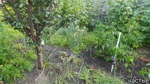 Живём в Краснодаре. Показываю соседскую стройку 😁Чистим бассейн. У нас родились ежата. Навес.