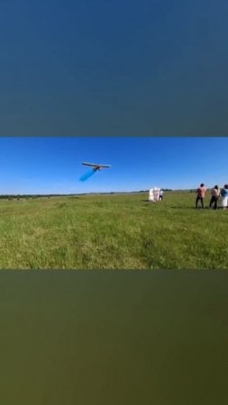 Самолет и дневной салют на гендер пати.