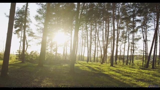 Глаза цепляются за кадры, уши ловят каждый аккорд - Corporate Success -- Scott Holmes Music -- Corpo