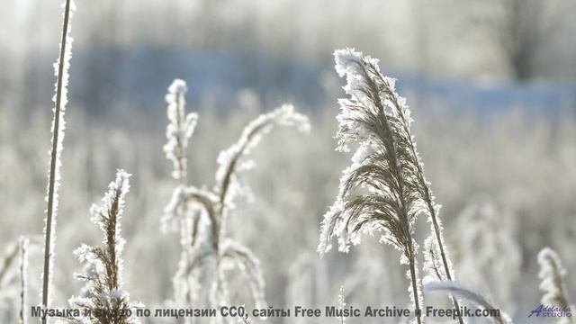 Природная гармония, которая вдохновит на признания в любви! - Отстань -- Александр Недугин -- Яжык Э
